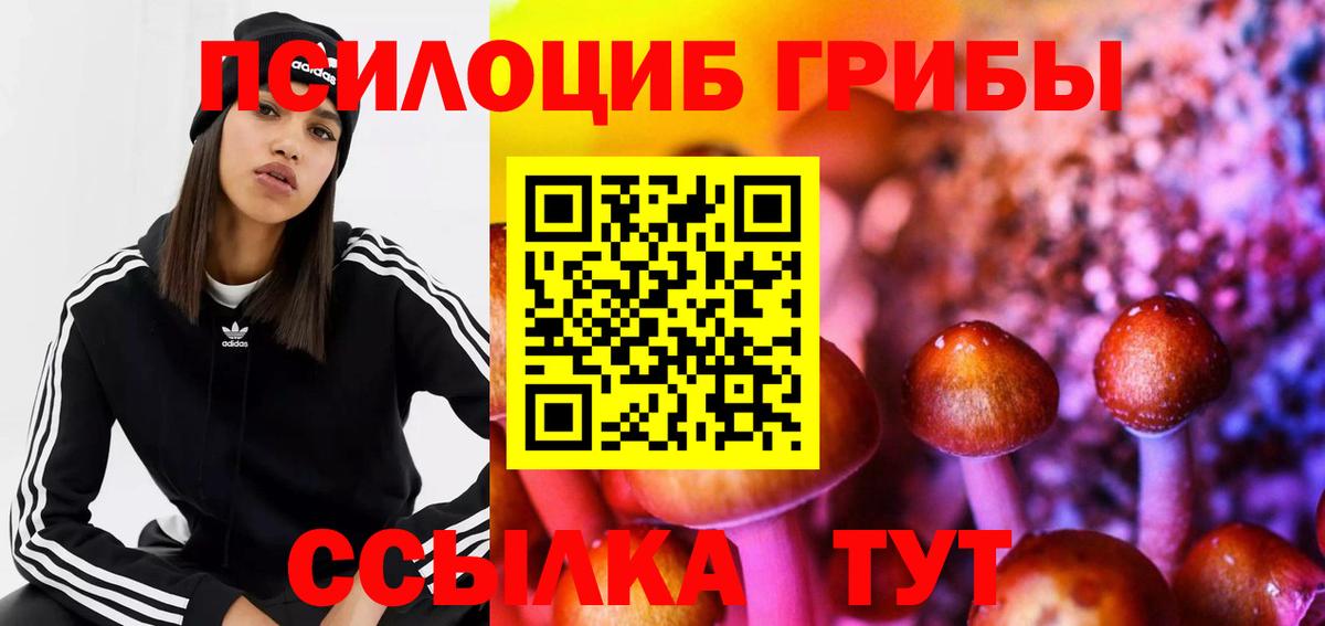 Псилоцибиновые грибы MAGIC MUSHROOMS Новокубанск